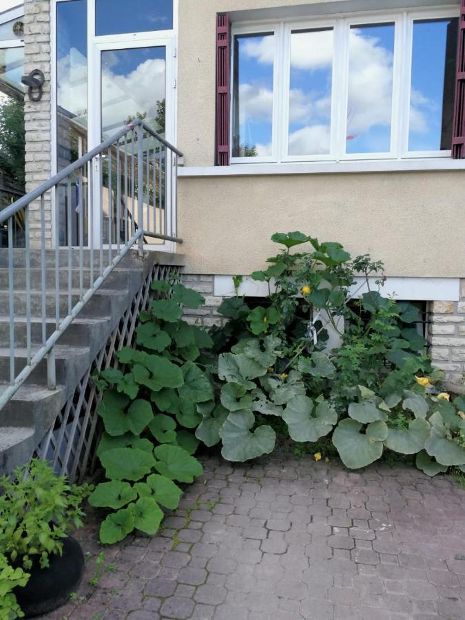 Un Verger Dans La Ville Saint-Parres-aux-Tertres Exteriér fotografie