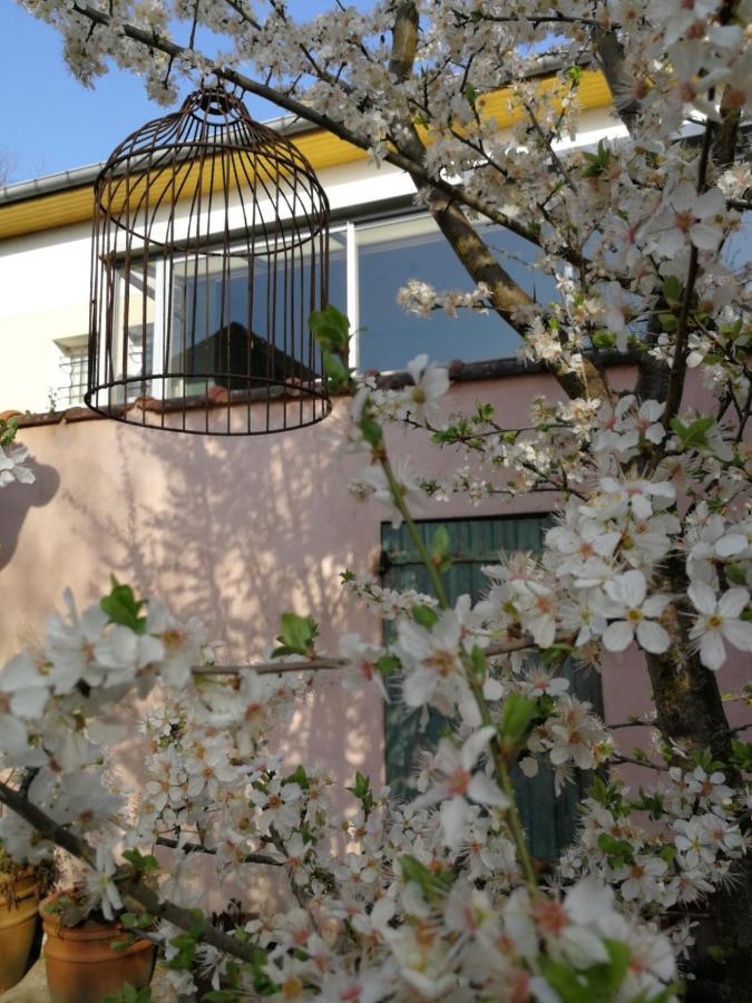Un Verger Dans La Ville Saint-Parres-aux-Tertres Exteriér fotografie