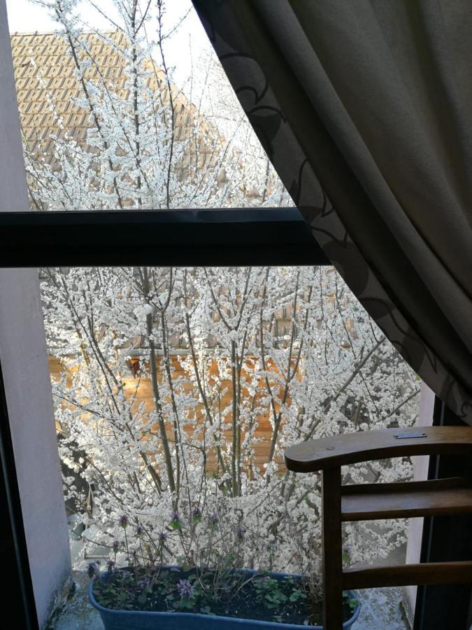 Un Verger Dans La Ville Saint-Parres-aux-Tertres Exteriér fotografie
